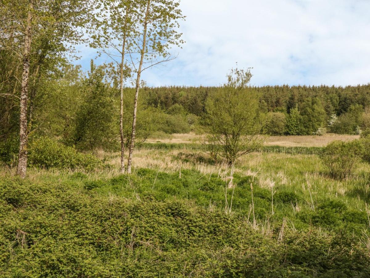 Bwlch Y Gwynt Bach Villa Клангефни Екстериор снимка